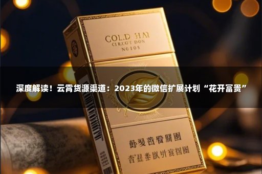 深度解读！云霄货源渠道：2023年的微信扩展计划“花开富贵”